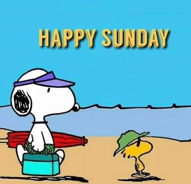 HAPPY SUNDAY