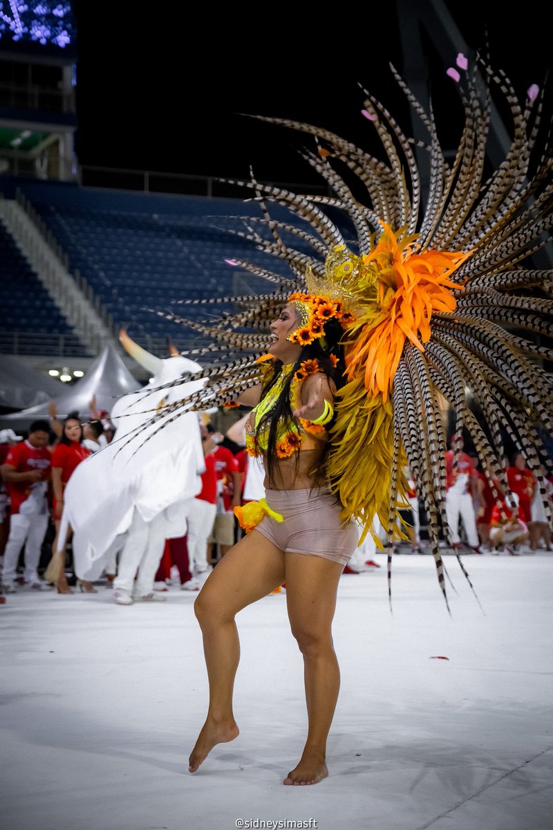 Sidney Simas tweet media