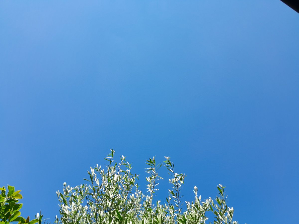 It's great to see him back. Let's hope he stays for longer this time.
Don't you know, it's a beautiful new day.....