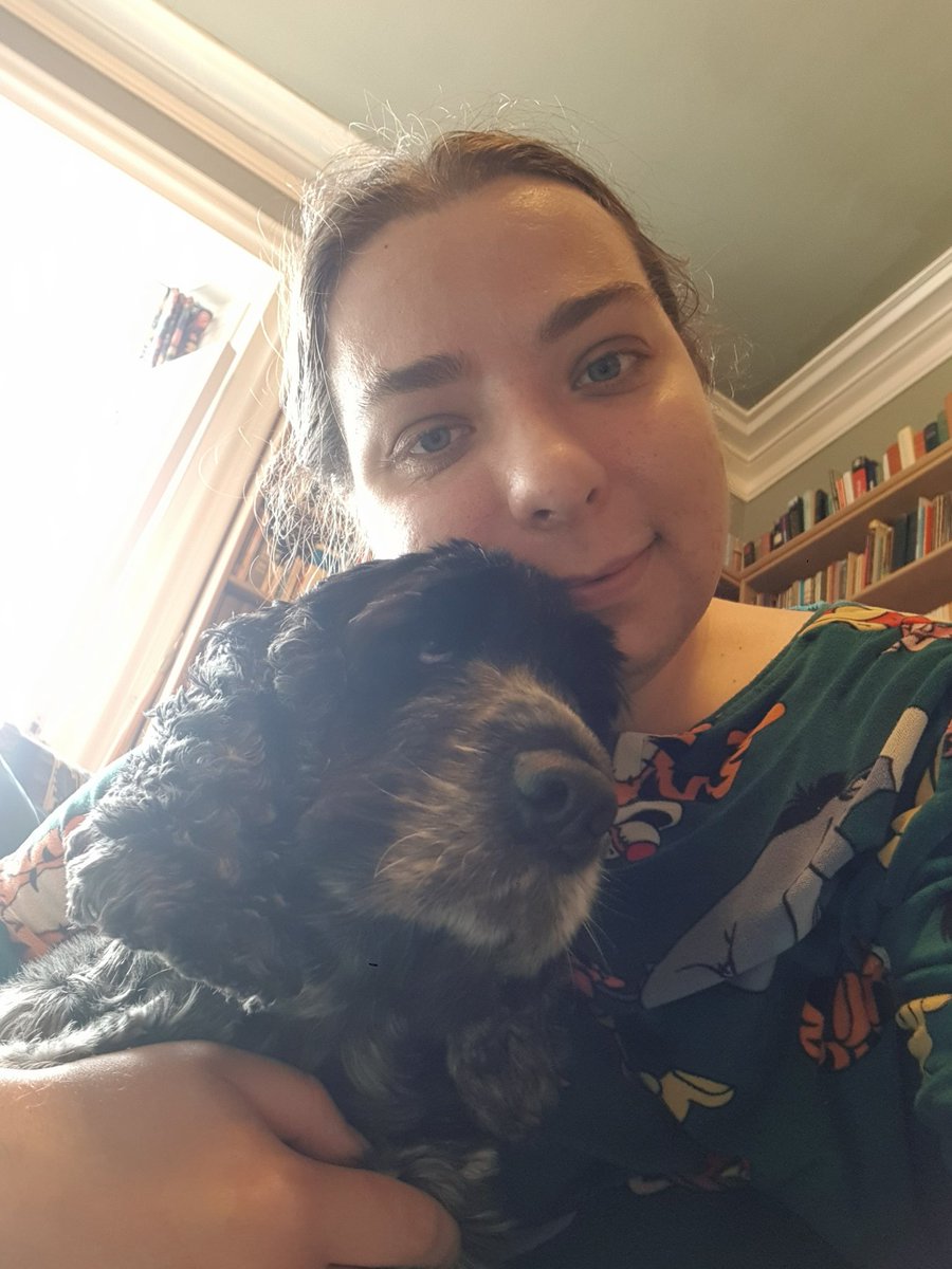 Sunday morning puppy cuddles! #dogsoftwitter #spaniel