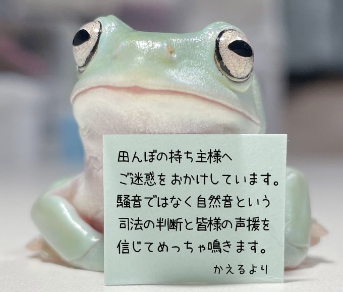 kaeruZangyo's tweet photo. うーーーーんこれかな～。
#これでフォロワーさん増えました https://t.co/2LynEJrwGL