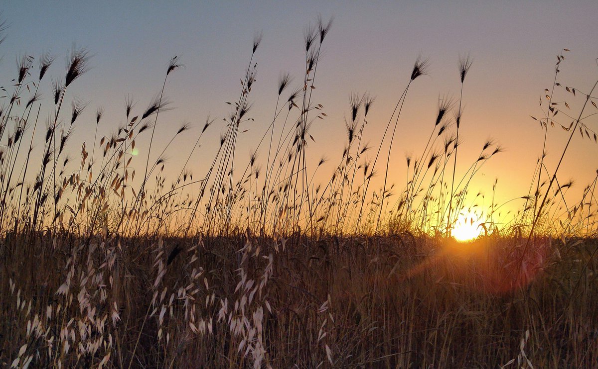 agowitter's tweet image. The end of the day @ThePhotoHour @StormHour