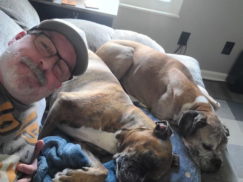 davRodman's tweet photo. @dog_rates @TwoPucketts Enjoying vacation with my two #besties 👯 we have common hobbies 😸
sleeping all day!  
they also give me 
a warm and slobbery #welcome 
.
. https://t.co/ZMaVNXsQqc