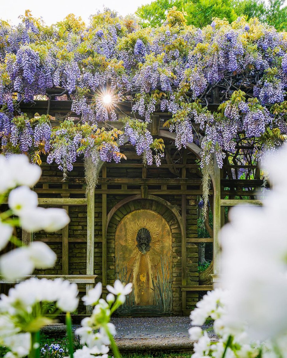 Would you like to step into a world of botanical enchanment? Experience the fragrant magic of wisteria in @dumbartonoaks gardens in @visitwashingtondc — it's a must-see! 😍 #CapitalRegionUSA

📸: @minhp