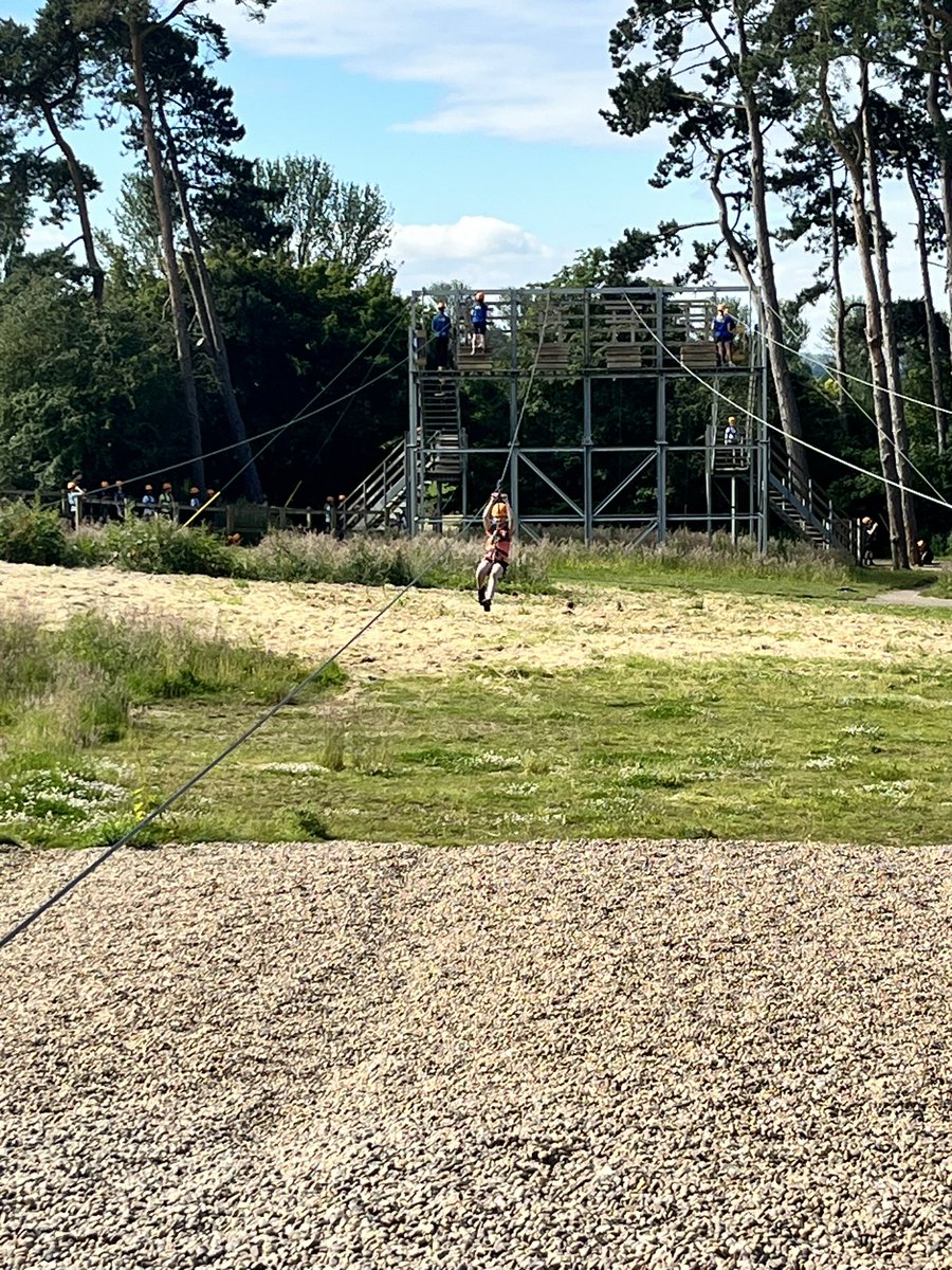 Y6 Teacher tweet media