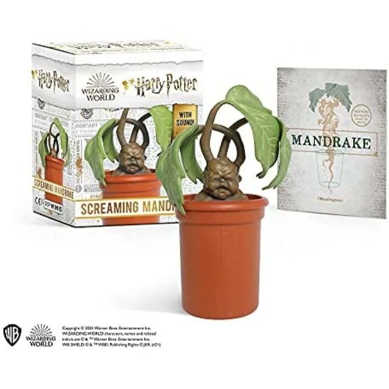 BWizard24 tweet picture