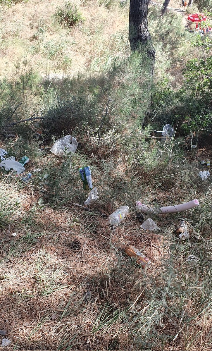 Doğaya çöp atanlar net orospu çocuğudur...