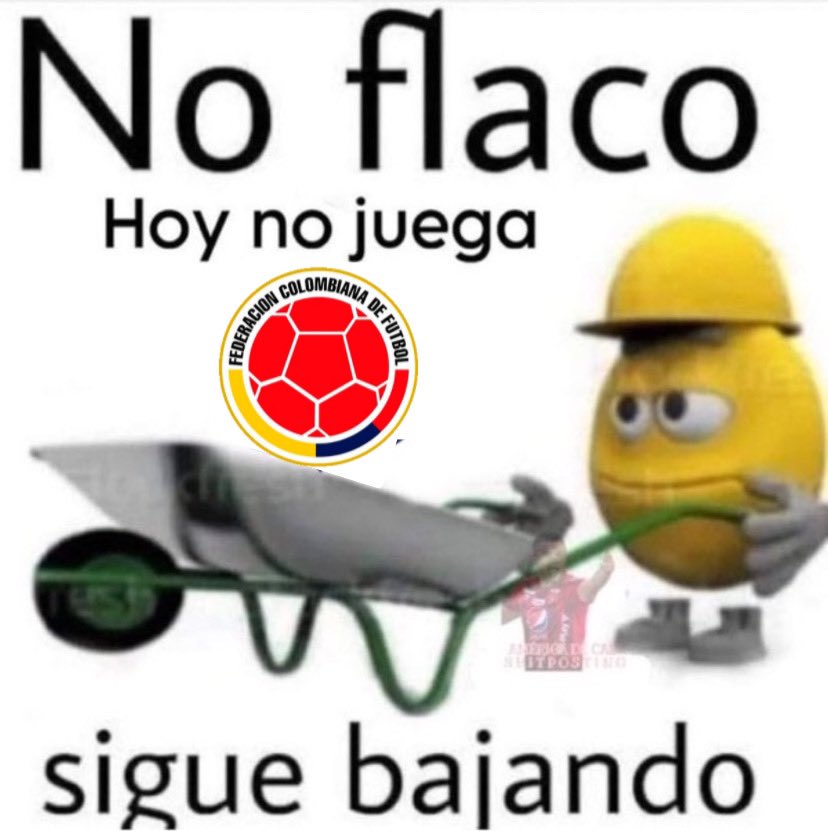 vida hpta, estoy que me selección colombia.