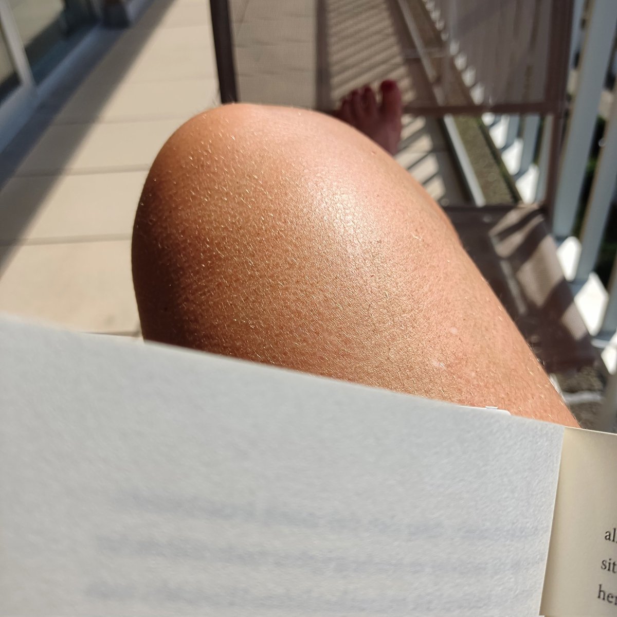 seymus_els's tweet photo. Eindelijk... Lezen ... Buiten... Op m'n terras... In de ZON โ๏ธโ๏ธ #genieten #zomer #nietstoren https://t.co/gAgN9AyVFS