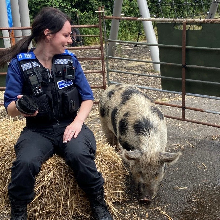 TVP Buckinghamshire tweet media