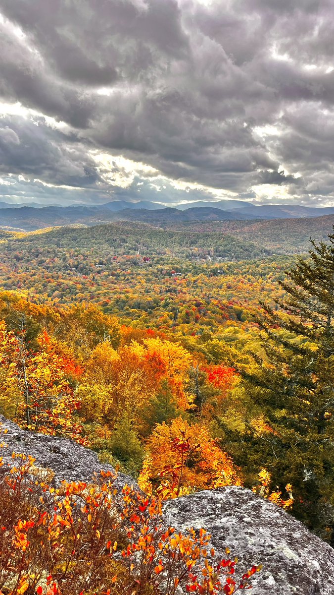 92 days until this 🍂