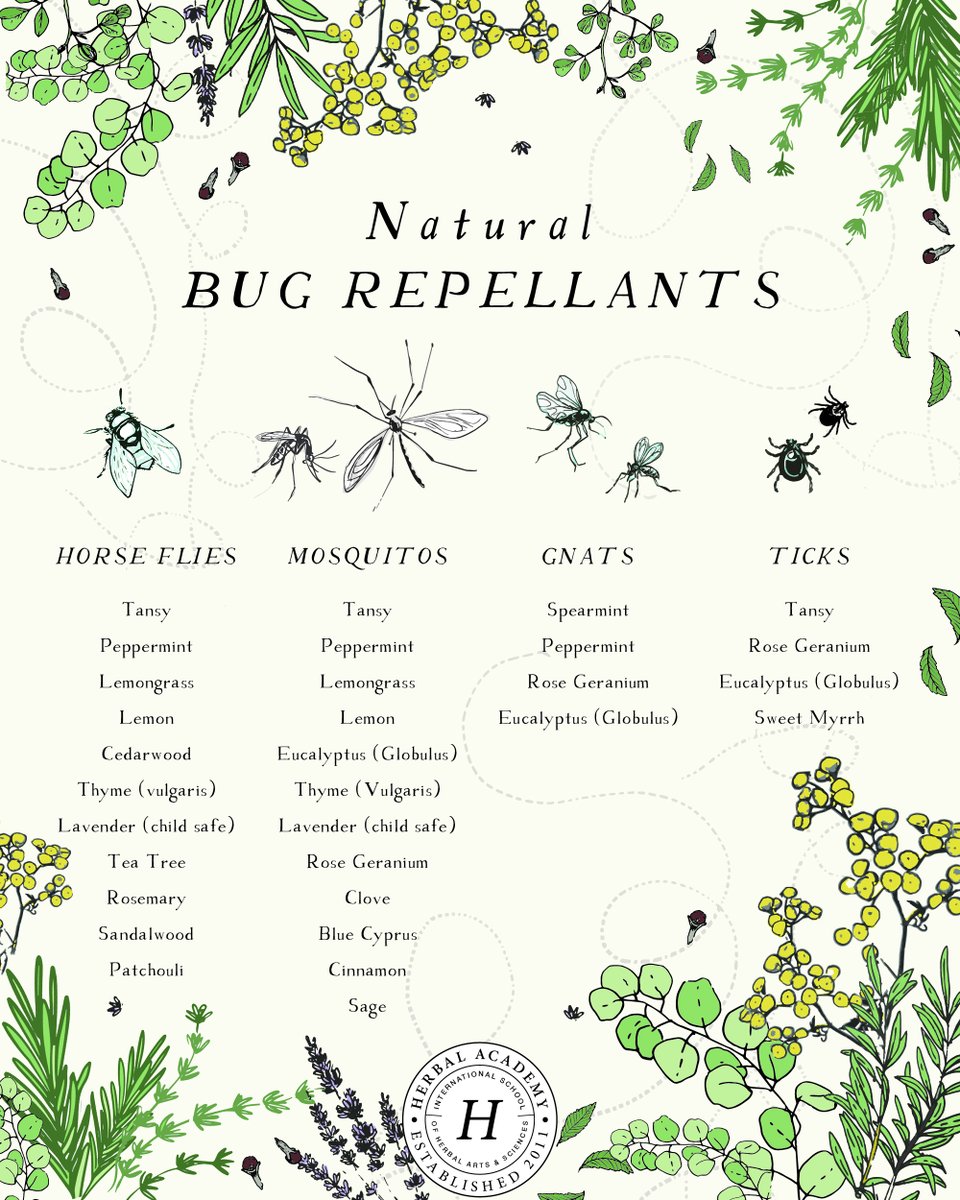 Herbal Academy tweet media