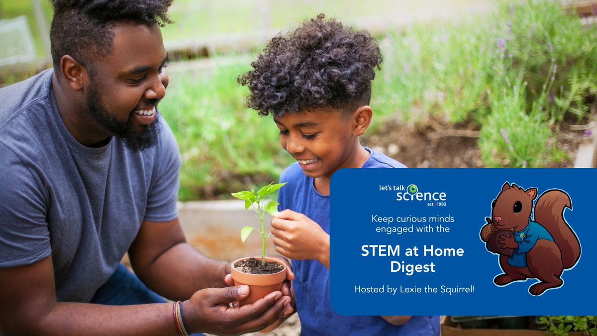 LetsTalkScience's tweet photo. Curious minds don't shut down in the summer, keep them engaged with our STEM at Home resources and newsletter! https://t.co/OphuXQTRmk https://t.co/vGCLkIgquz