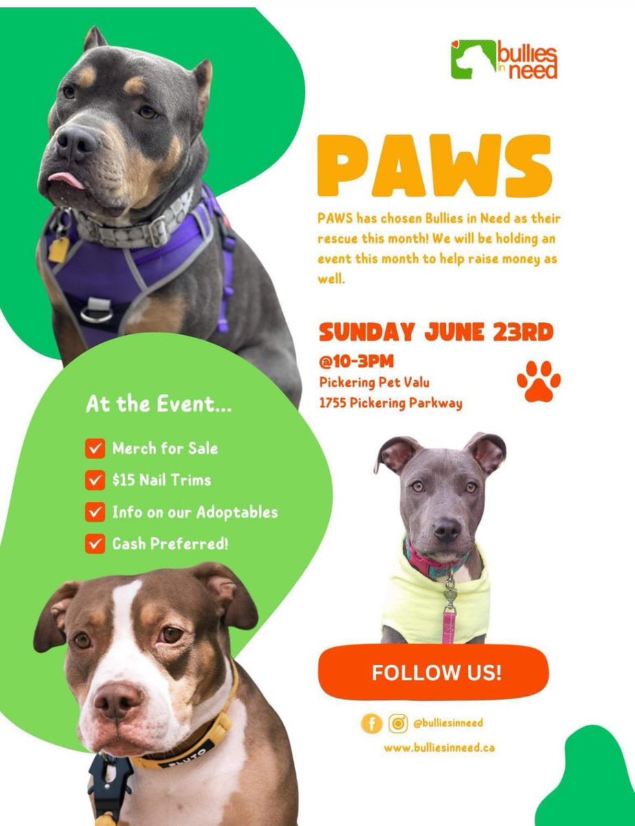 Come see us today at the Pet Valu in Pickering! 🐶❤️ #adoptdontshop #FostersSaveLives