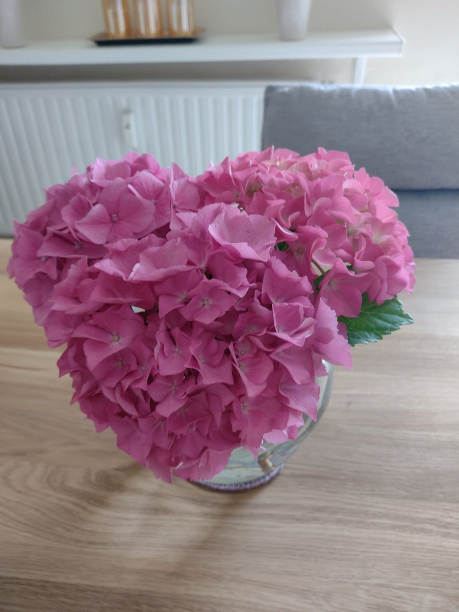 BroeckerSabine's tweet photo. @9DarterGen 3 Dolden und die Vase ist gut gefüllt 👍 https://t.co/Phm4tqdUEb
