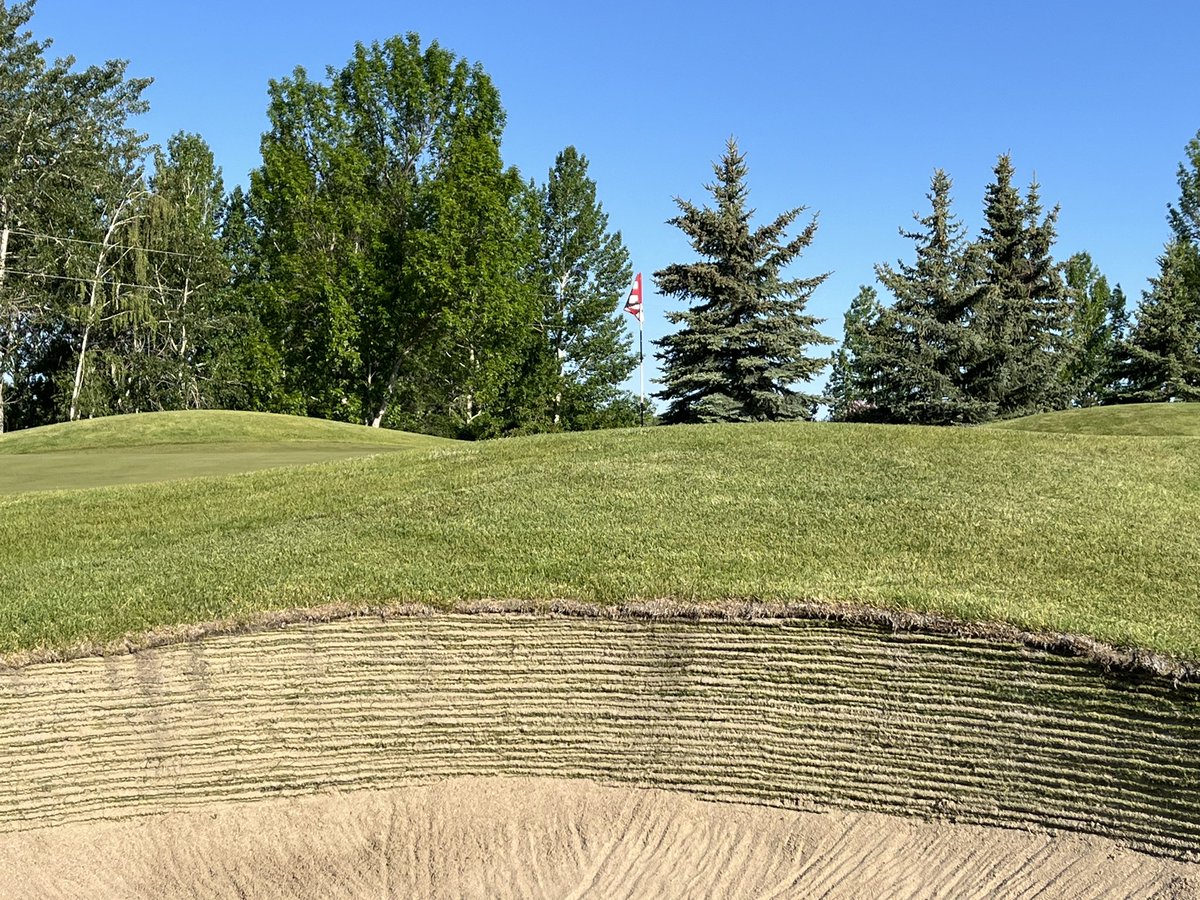 Day 2 of Senior Club. Championship <a href="/CarnmoneyGolf/">Carnmoney Golf Club</a>.  Who is going to take on this pin today?