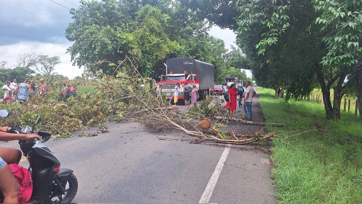 ORLANDO  PARRA tweet media