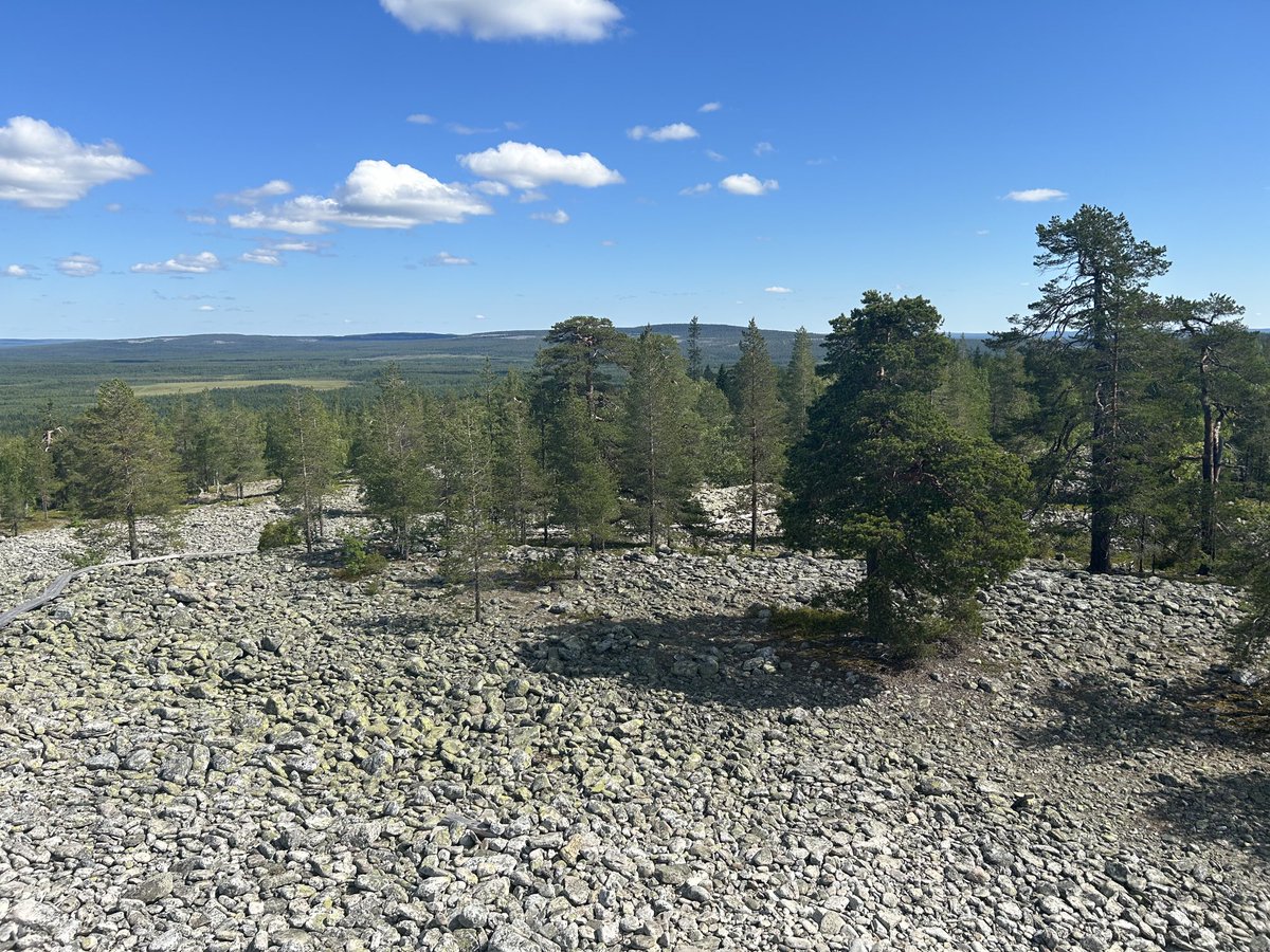 Eipä ole turhaan kehuttu Tervolan Kätkävaaran luontopolkua. Hienot oli maisemat, reitti mielenkiintoisen vaihteleva ja sääkin suosi. Suosittelen! 👍