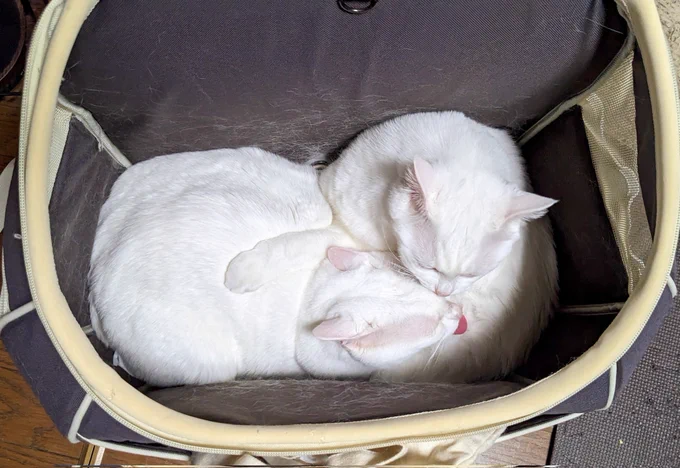 狭そう… 