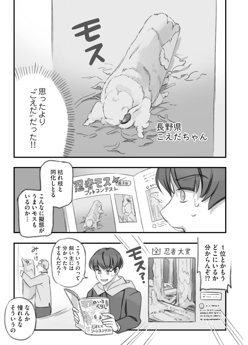 自宅の大きいモスモスを投稿する飼い主たちの話
(2/4) 