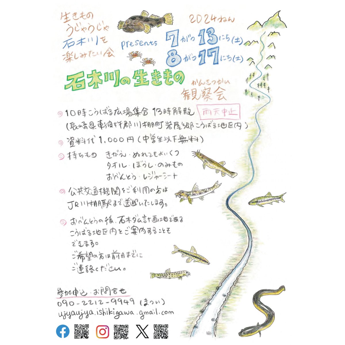 生きものうじゃうじゃ石木川 tweet media