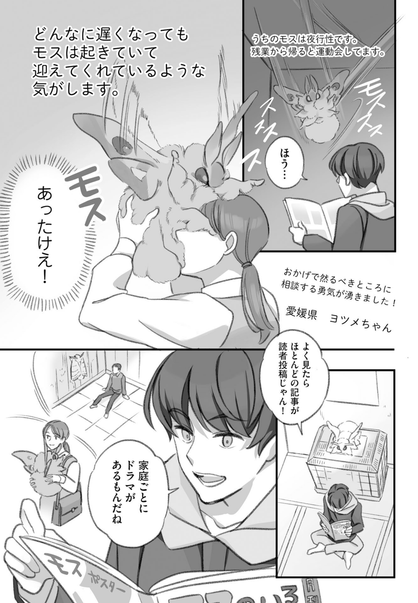 自宅の大きいモスモスを投稿する飼い主たちの話
(3/4) 