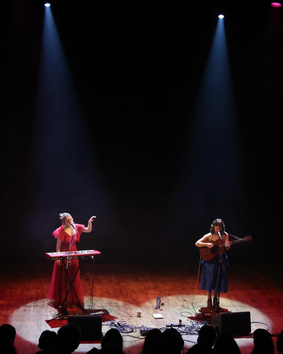 Charm of Finches tweet media