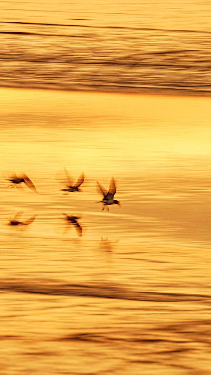 In to the sunset 🌅