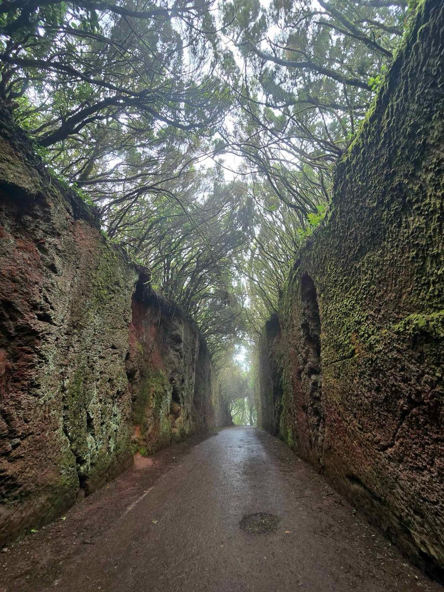 Anaga

📸Aitor Perdomo Sosa

#vendevisitaatenerife #tulugardeescape #islascanarias #Tenerife
