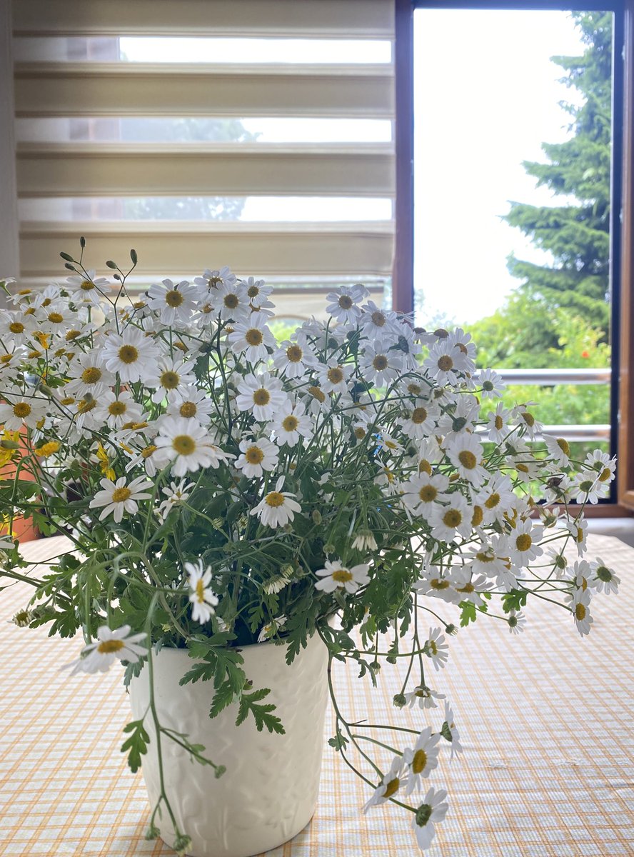 Ayşegül Ünal (@ayseglunal) on Twitter photo 