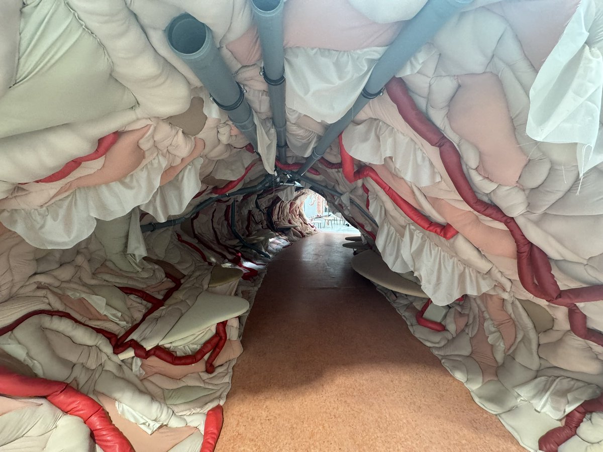 richardtkiewiet (@richardtkiewiet) on Twitter photo 