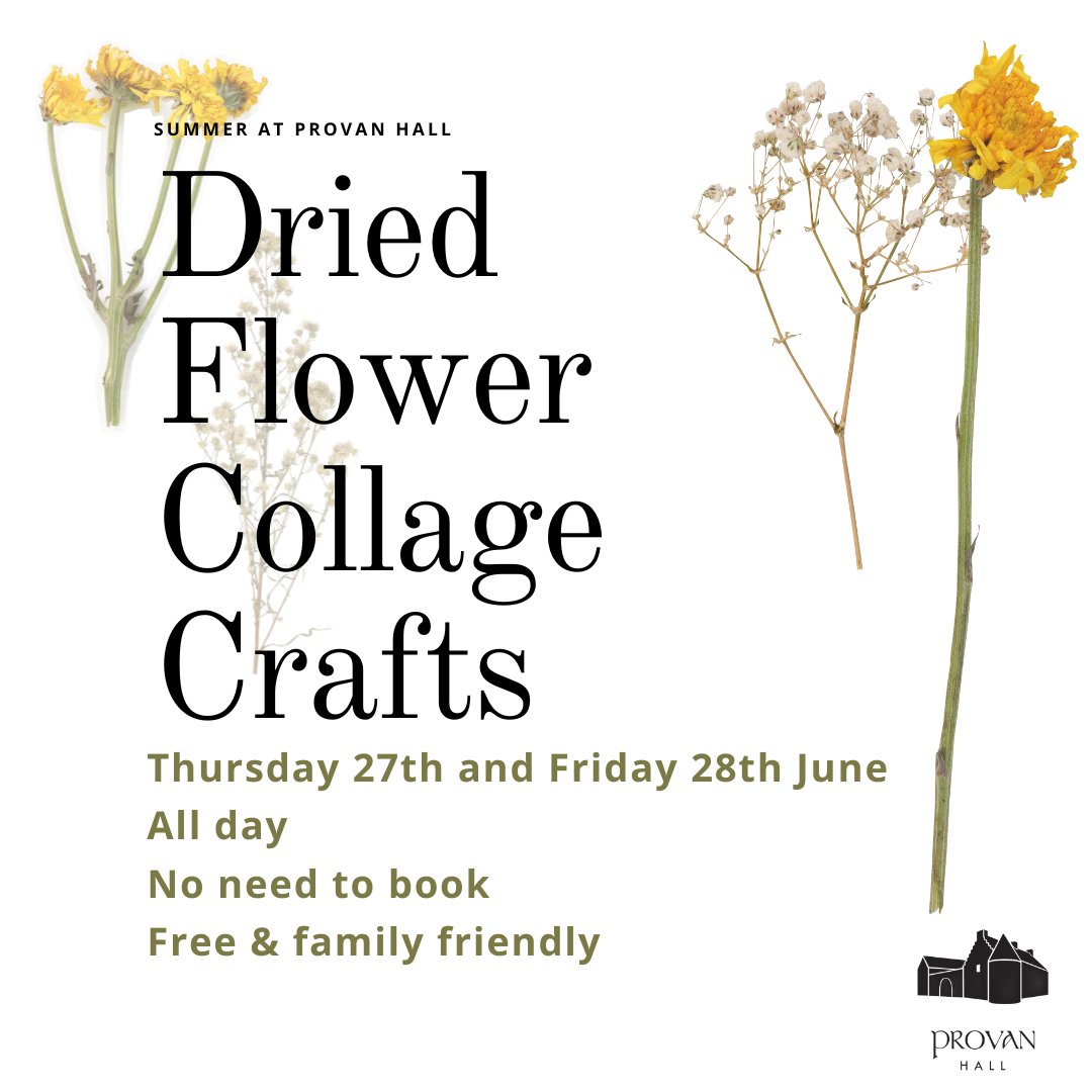 Provan Hall tweet media