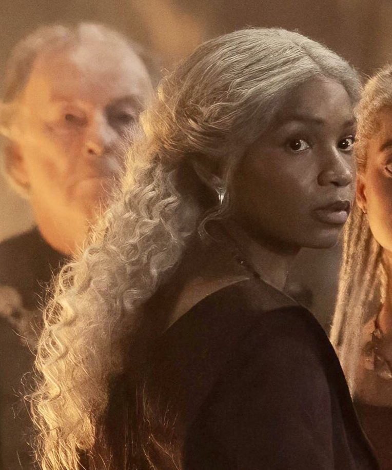 rhaenyrasrealm's tweet image. the art                                       the artist