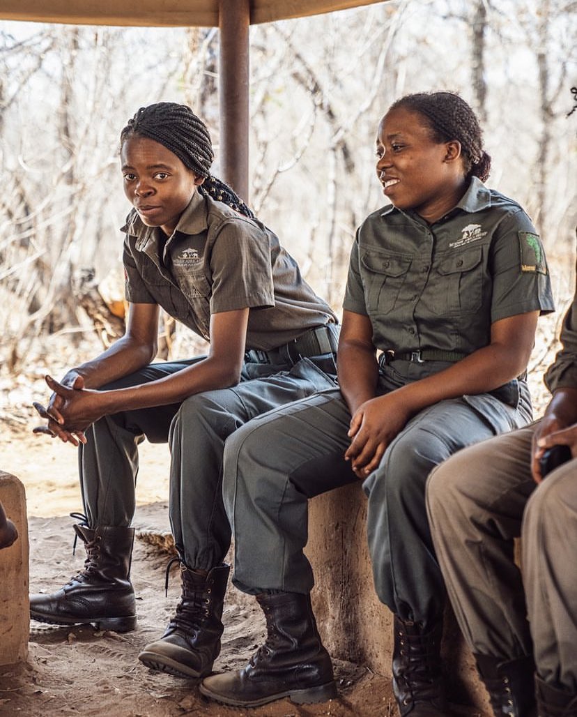 On World Female Ranger Day, we celebrate the brave women who protect our wildlife!   Their dedication to conservation is crucial. #WomenInConservation #ThankARanger

Hwange 🇿🇼.
#DiscoverZimbabwe