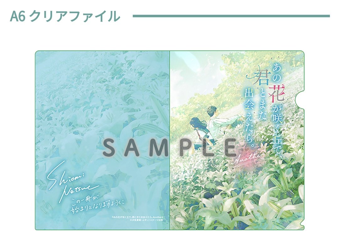 真夏の少年 Blu-ray BOX 店舗別特典 クリアファイル緑 51d+tsjabBL._AC_UF350,