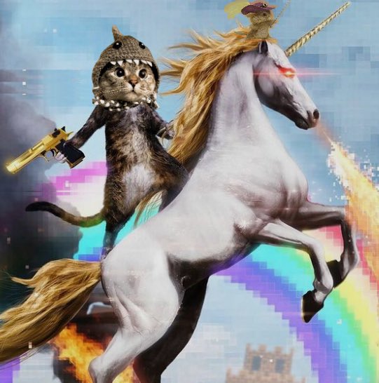 SharkCatSolana's tweet photo. @cryptocom Shark cat will light up the Heavens $Sc https://t.co/A7tb2i7YvF
