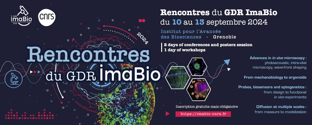 The program covers  (1/2)

1) advances in in vivo microscopy : 
<a href="/TomChaigne/">Thomas Chaigne</a> @wsupatto    

2) mechanobiology to organoids : 
Mélody_Atkins  

3) probes, biosensors and optogenetics : Thomas_Boudou  <a href="/CaterinaTomba/">Caterina Tomba</a>

4) diffusion at multiple scales : 
Olivier_Ali 
Cyril_Favard 

⬇️