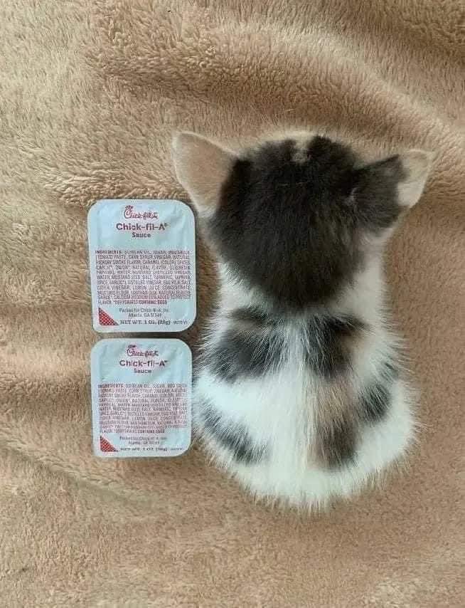 🤲🏻🤲🏻🤲🏻🤲🏻
