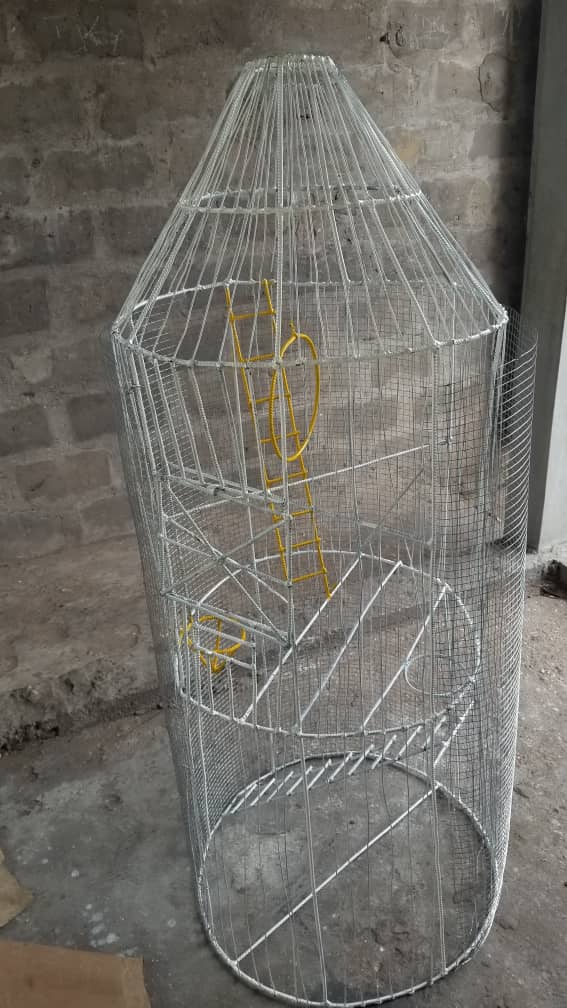 danniwayne's tweet image. Production et conception de grandes cages exotiques pour les perroquets parleurs et autres oixeaux exotiques. Disponible immédiatement en plusieurs modèles