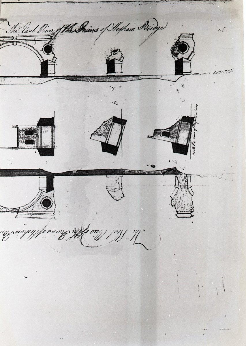 ICE Library tweet media