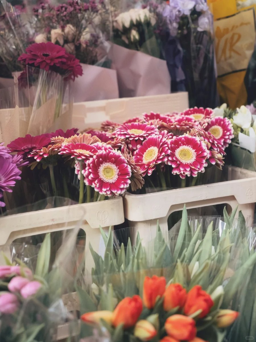 CngrCangr's tweet image. This morning I bought a beautiful bouquet of flowers to make flower pots on the weekend