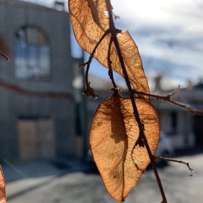 710Alchemist's tweet image. #NewProfilePic