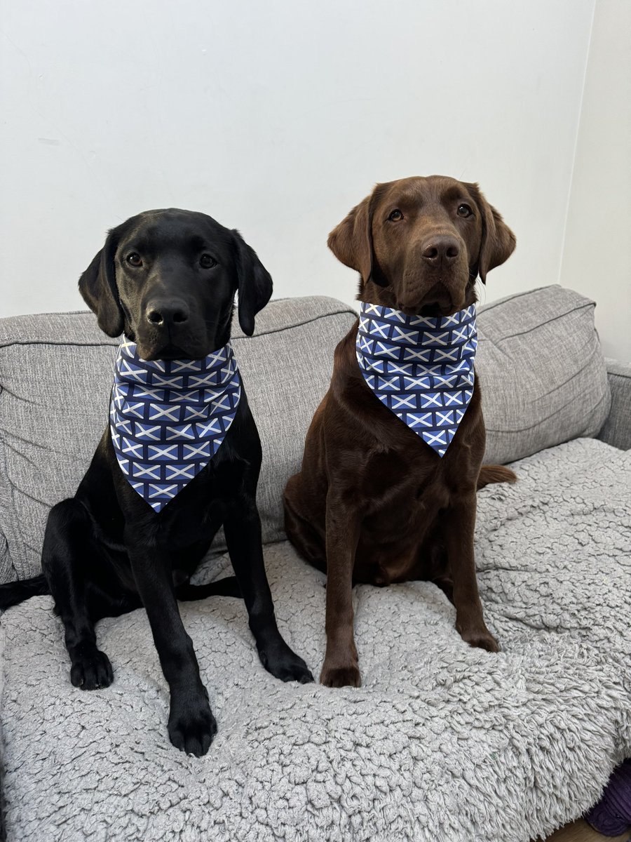 Cooper and Machrie ready for tonight 

#SSNTartanArmy