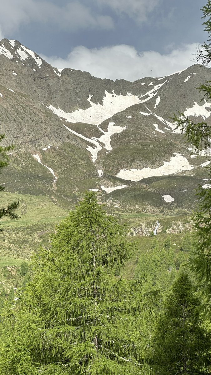 Alina Tu tweet media