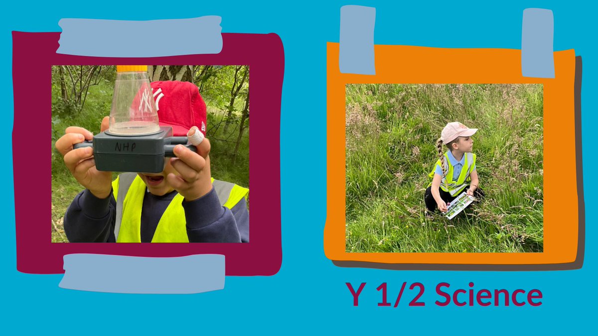 As part of their Science learning, the children visited Shirebrook Valley where they took part in lots of differnt activities including, Identifying plants and flowers, hunting for bugs and using the viewer to see them up close. #shirebrookvalley #sheffieldRangers