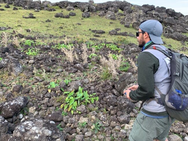 A popular trope says settlers overtaxed an isolated Pacific island, wrecked the environment, and suffered a population collapse. New study led by <a href="/LamontEarth/">LDEO</a> postdoc <a href="/DDavis_Arch/">Dylan Davis</a> claims the opposite, with the evidence found in "rock gardens." Learn more: lamont.columbia.edu/news/study-cha…