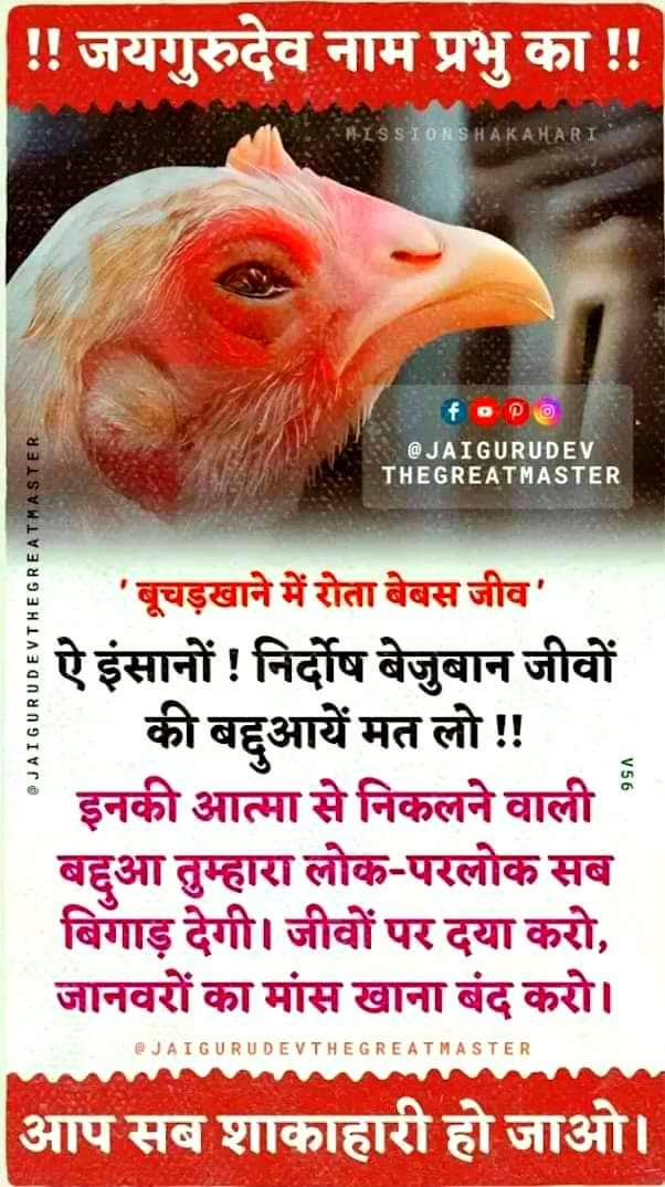 🥀✨ जय गुरुदेव ✨ 🥀🙏
मांस मनुष्य का भोजन नहीं है ।जीवों पर दया करें सदा शाकाहारी बनें ।।
Jaigurudev
 #Be_vegetarian_and_avoid_alcohol