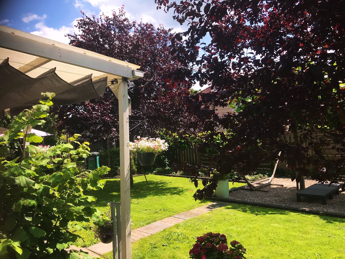 Het 🌞 zonnetje schijnt en Edwin lacht😀…..heerlijk genieten van de tuin.