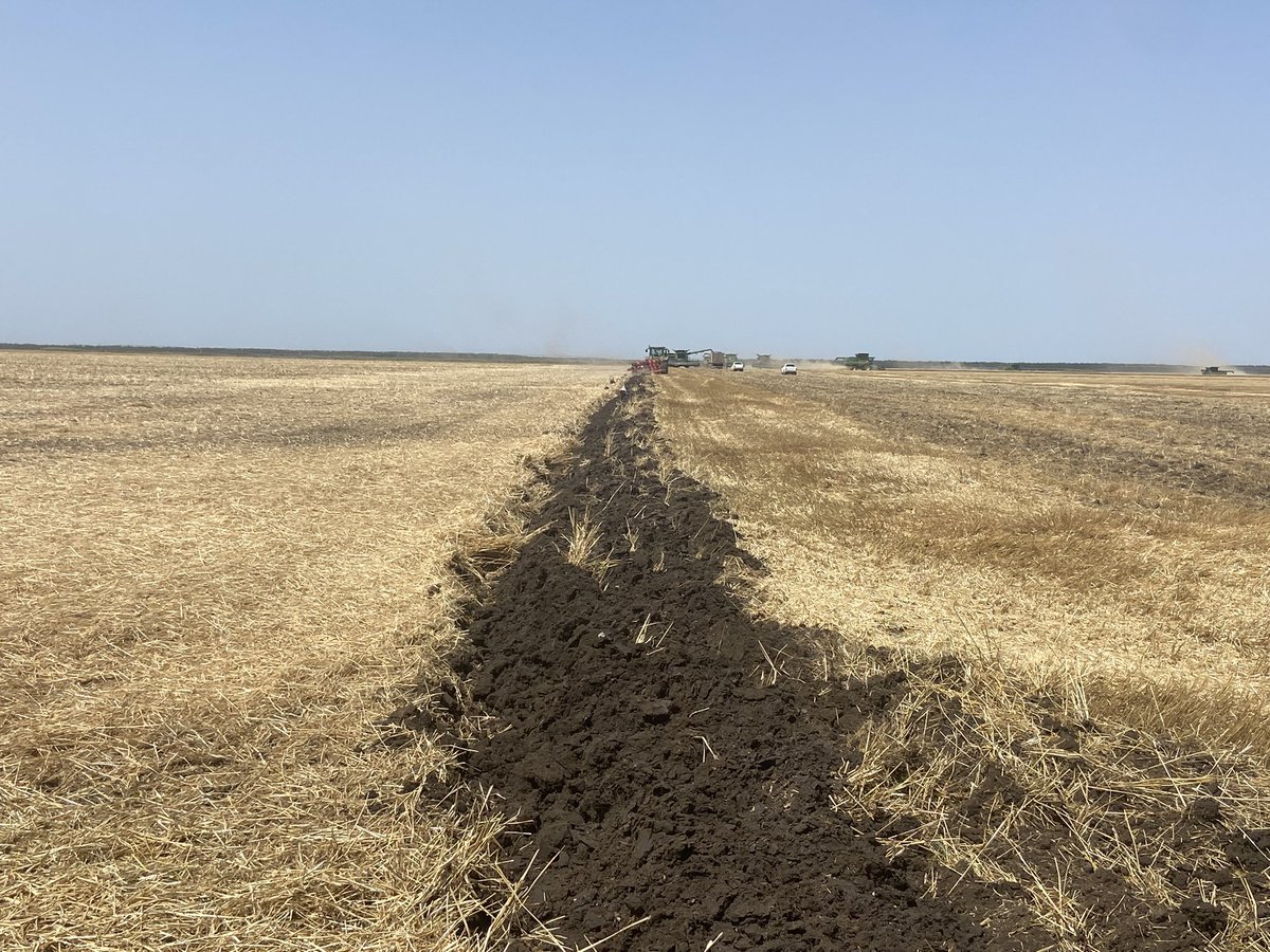 En Rumania no hay alambrados para dividir los campos, y hay muchas parcelas muy pequeñas. Es común que después de la cosecha hagan una pasada con el arado para marcar el límite de cara a la próxima campaña.