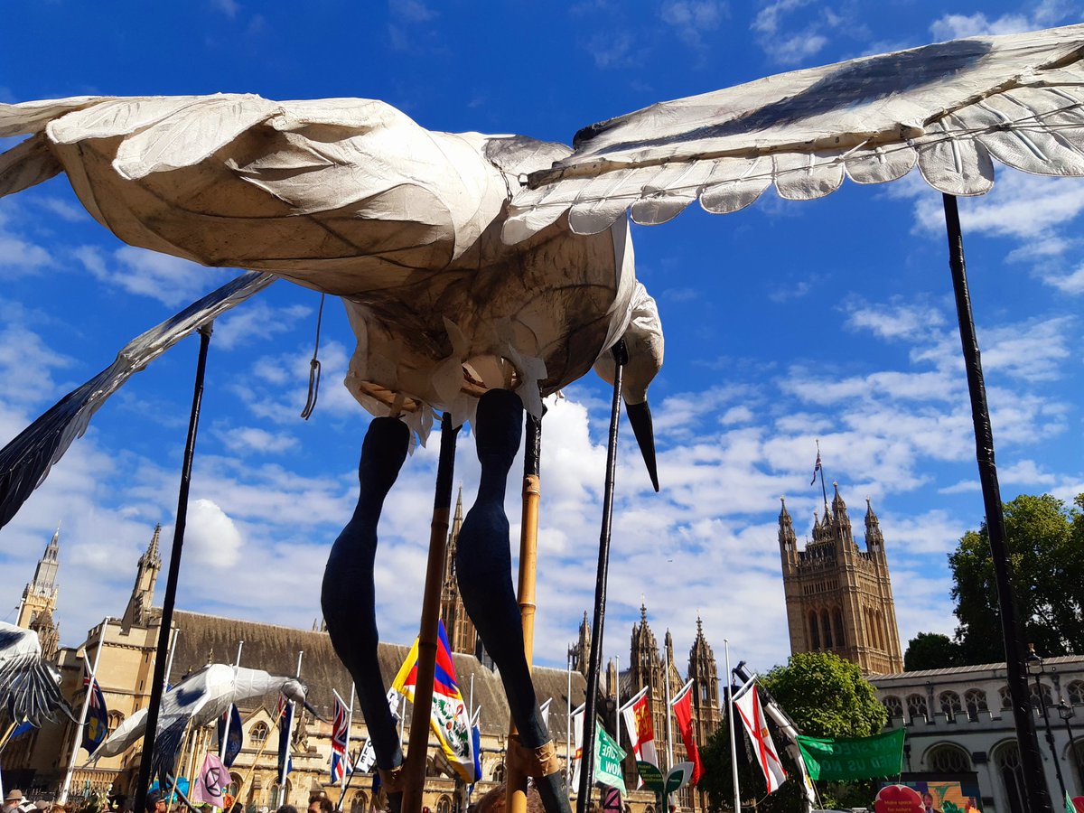 Paula Reynolds tweet media